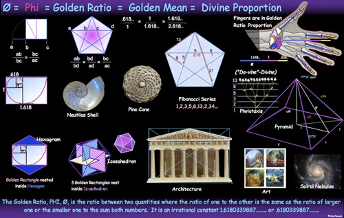 tỷ lệ vàng của dãy số Fibonacci